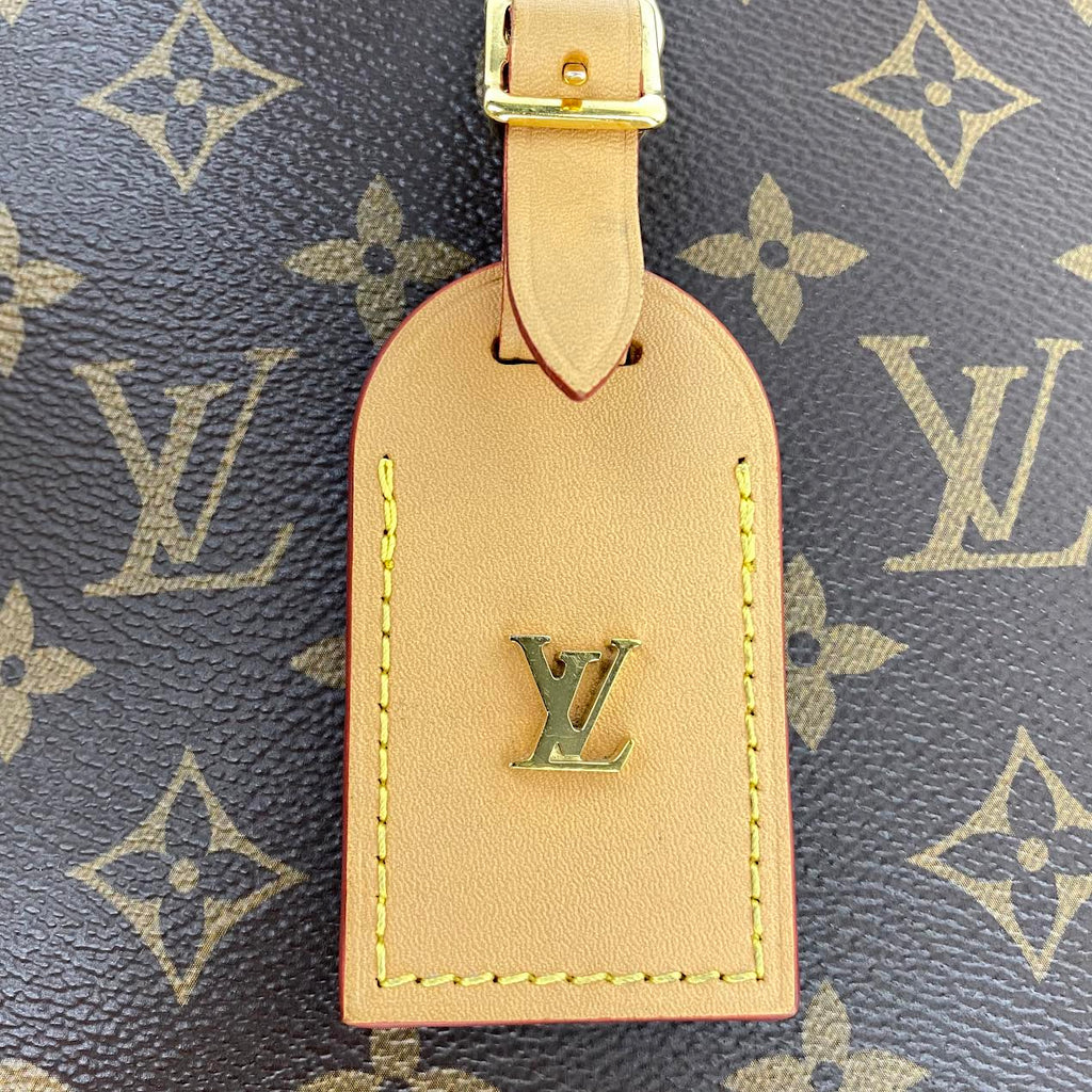 LOUIS VUITTON Odeon Monogram PM