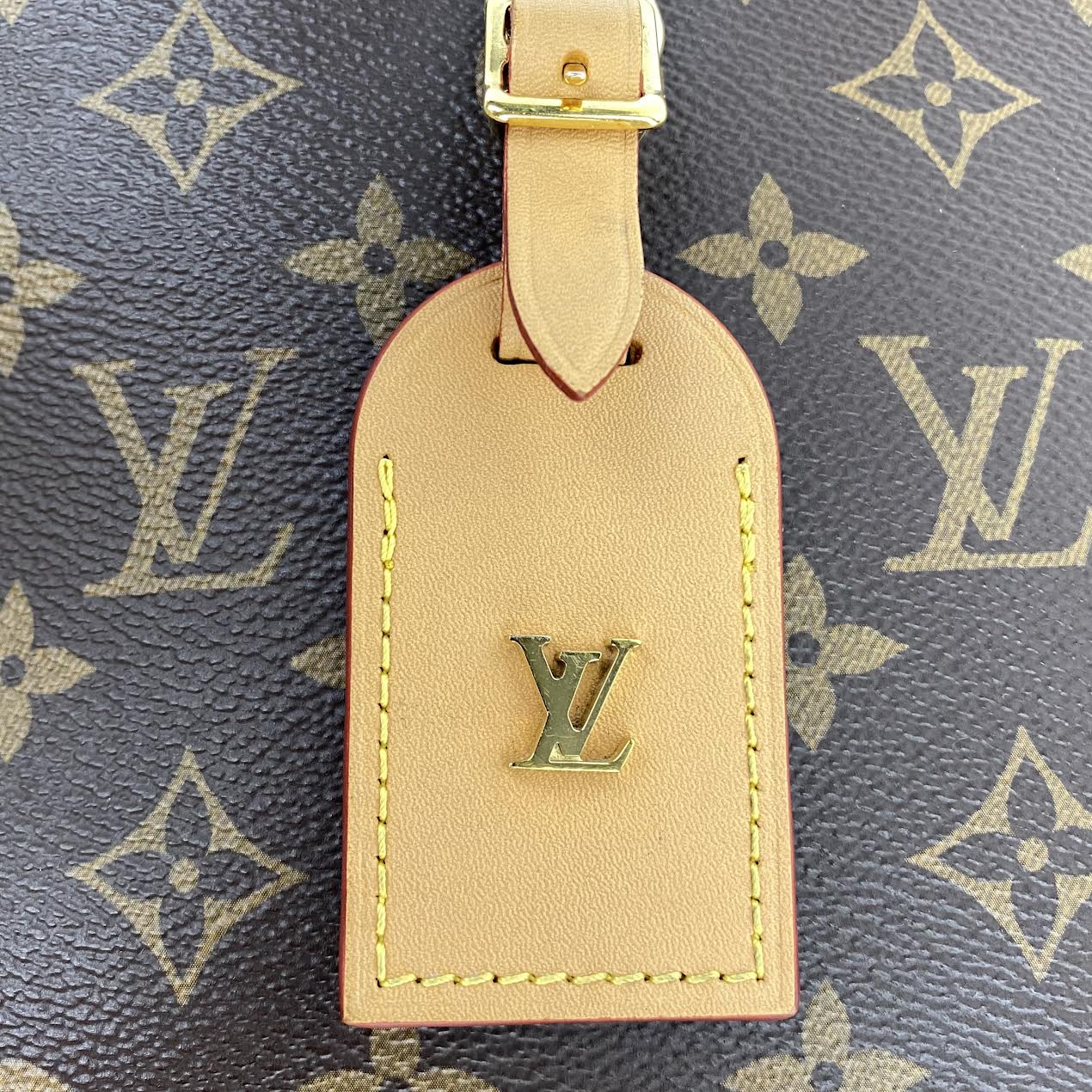 LOUIS VUITTON Odeon Monogram PM