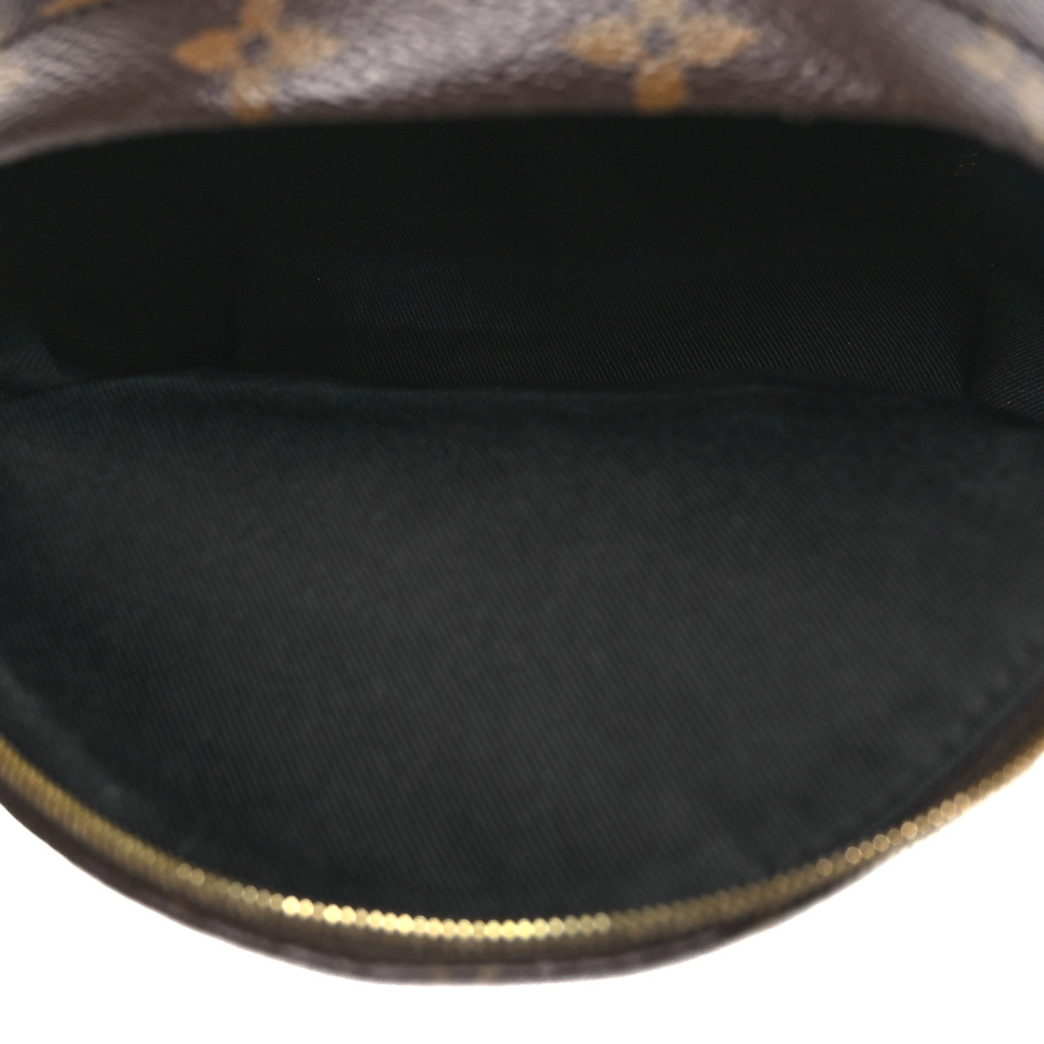 Louis Vuitton Monogram Palm Springs Backpack Mini