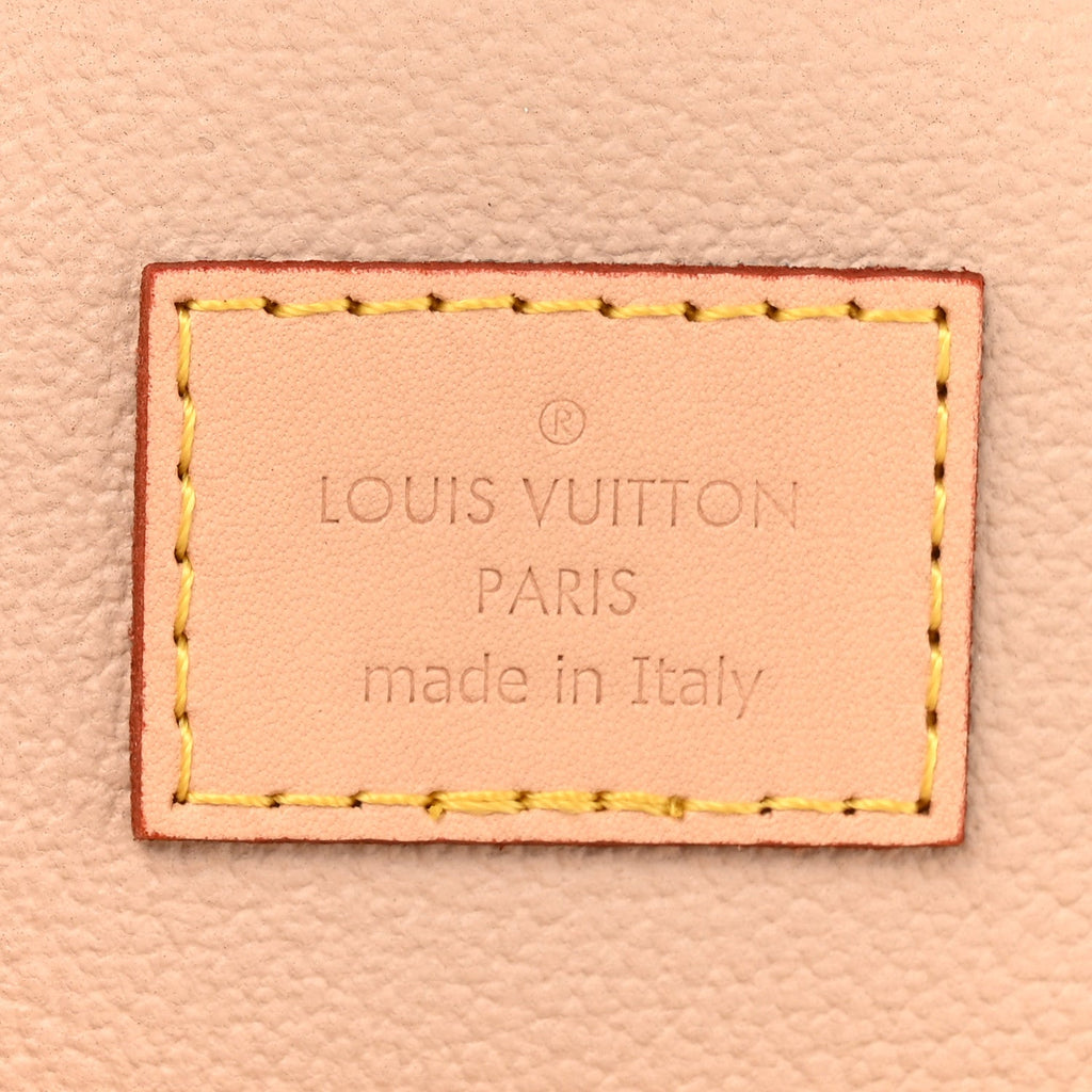 Louis Vuitton Monogram Nano Nice