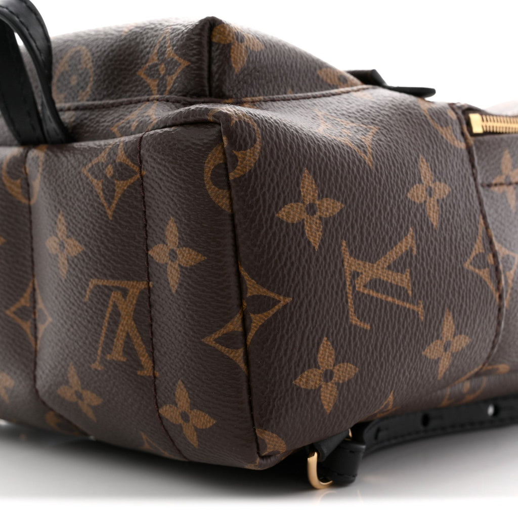 Louis Vuitton Monogram Palm Springs Backpack Mini
