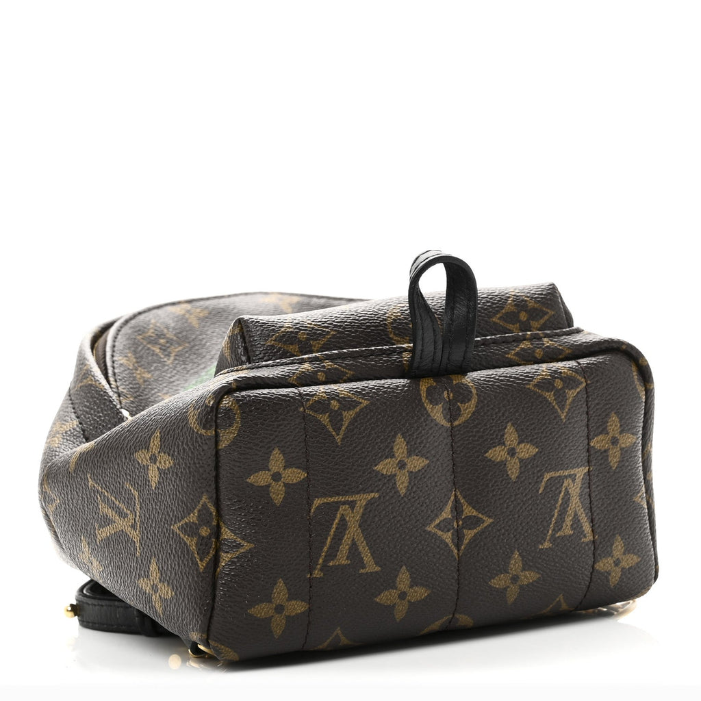 Louis Vuitton Monogram My World Tour Palm Springs Backpack Mini