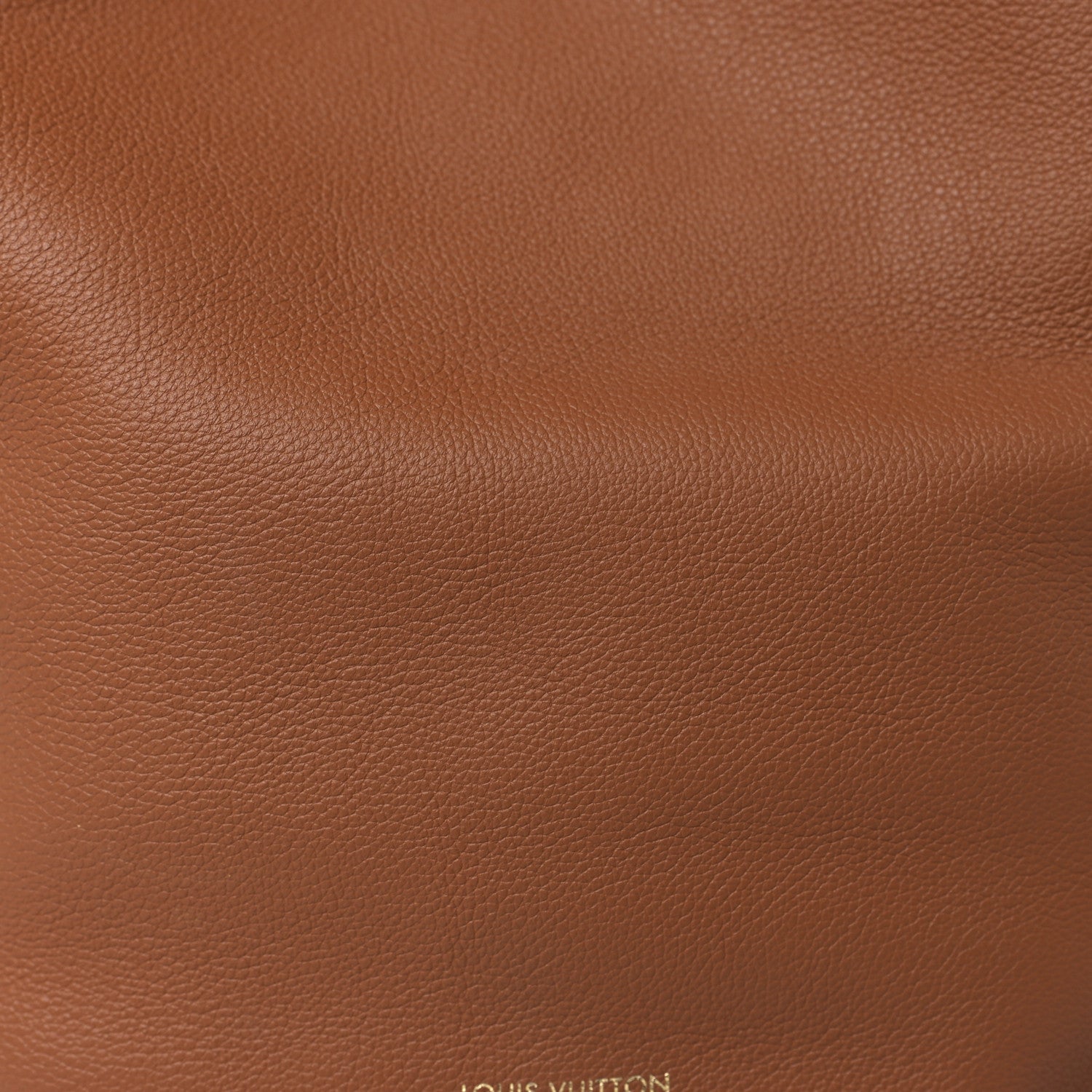 Louis Vuitton Grained Calfskin Low Key Hobo MM Cognac