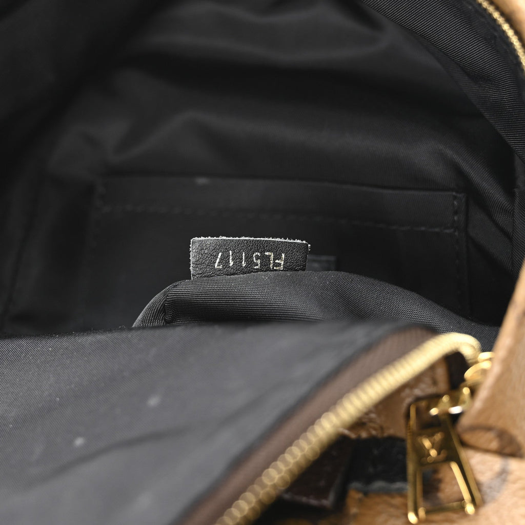 Louis Vuitton Reverse Monogram Palm Springs Backpack Mini
