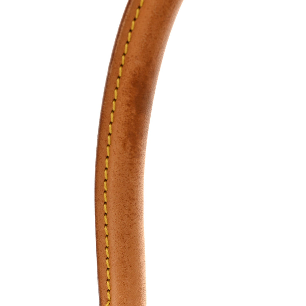 Louis Vuitton Monogram Looping MM