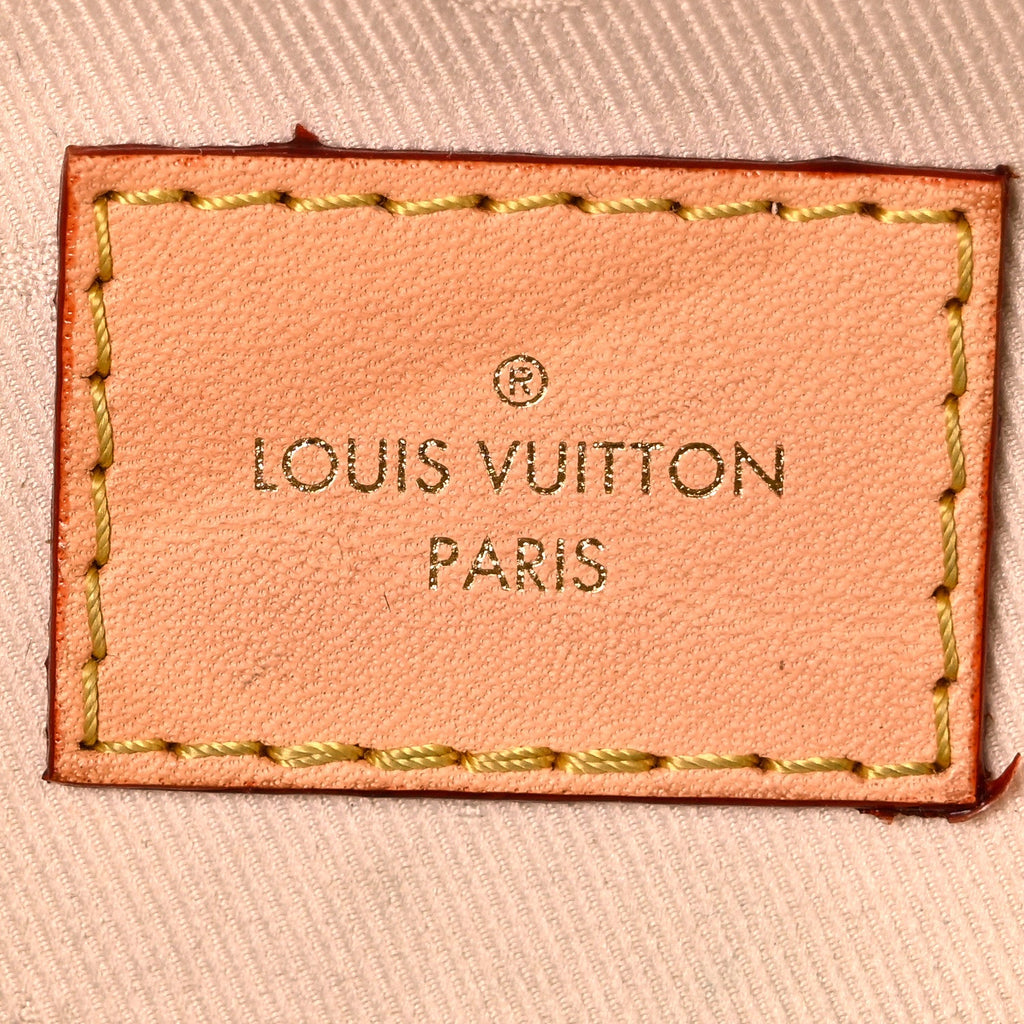 Louis Vuitton Monogram High Rise Bumbag