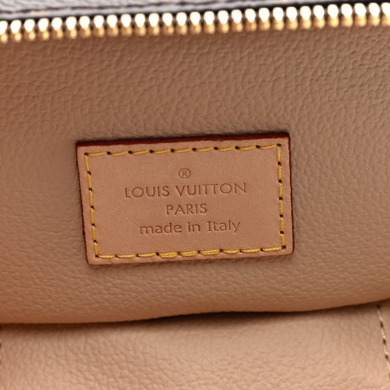 Louis Vuitton Monogram Nano Nice
