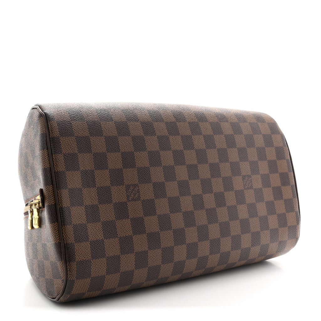 Louis Vuitton Damier Ebene Ribera MM
