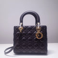 Dior Bags - 2570