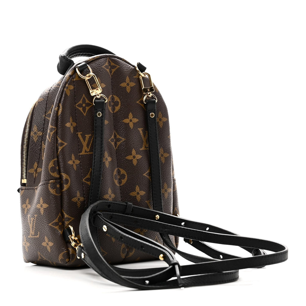 Louis Vuitton Monogram Palm Springs Backpack Mini