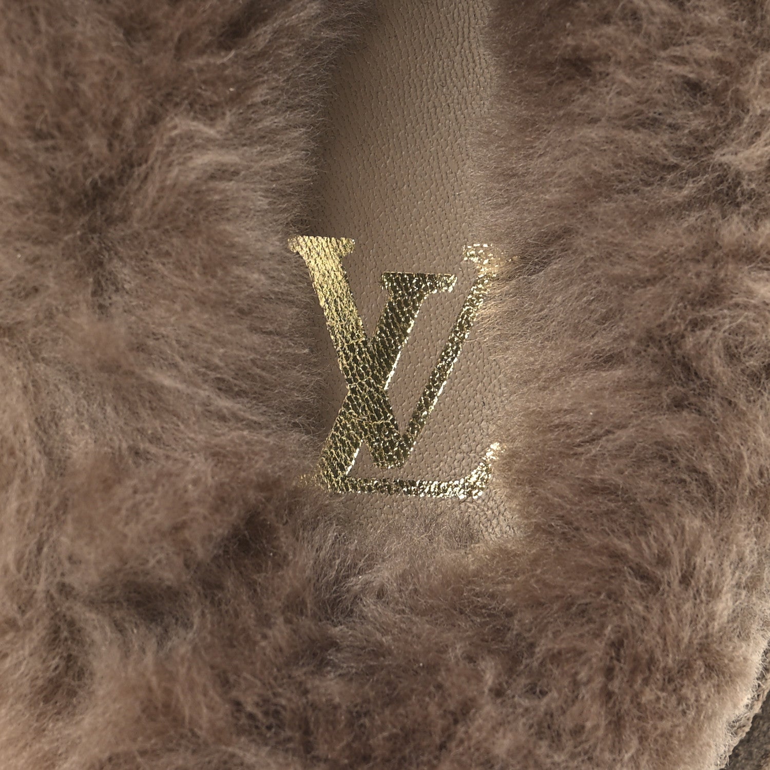 Louis Vuitton Monogram Fur LV Easy Mule 6 Brown
