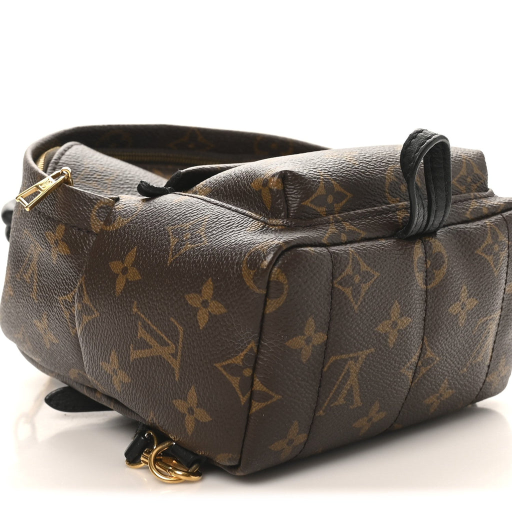 Louis Vuitton Monogram Palm Springs Backpack Mini