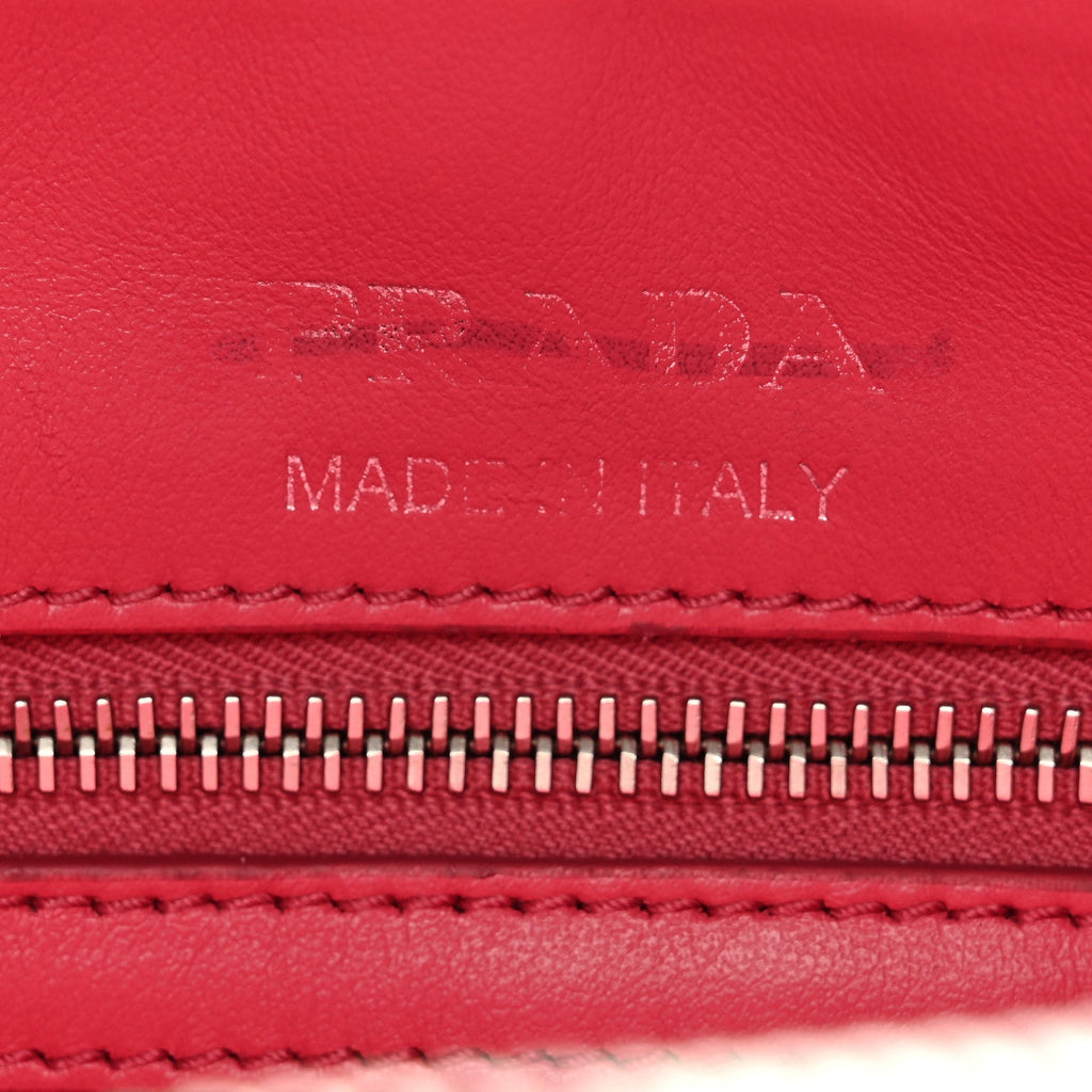 Prada Soft Calfskin Diagramme Camera Bag Peonia
