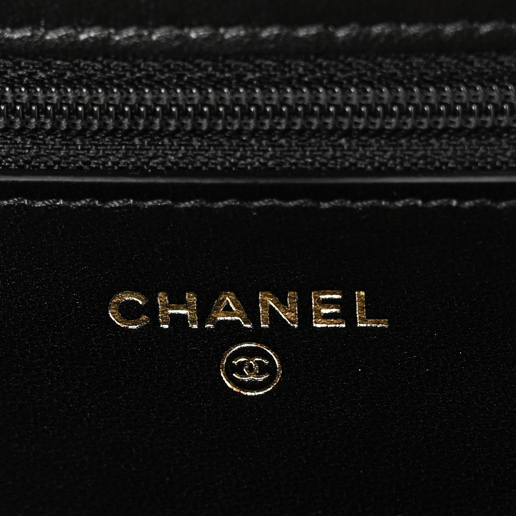 Chanel Lambskin Quilted Chanel 19 Wallet On Chain WOC Black