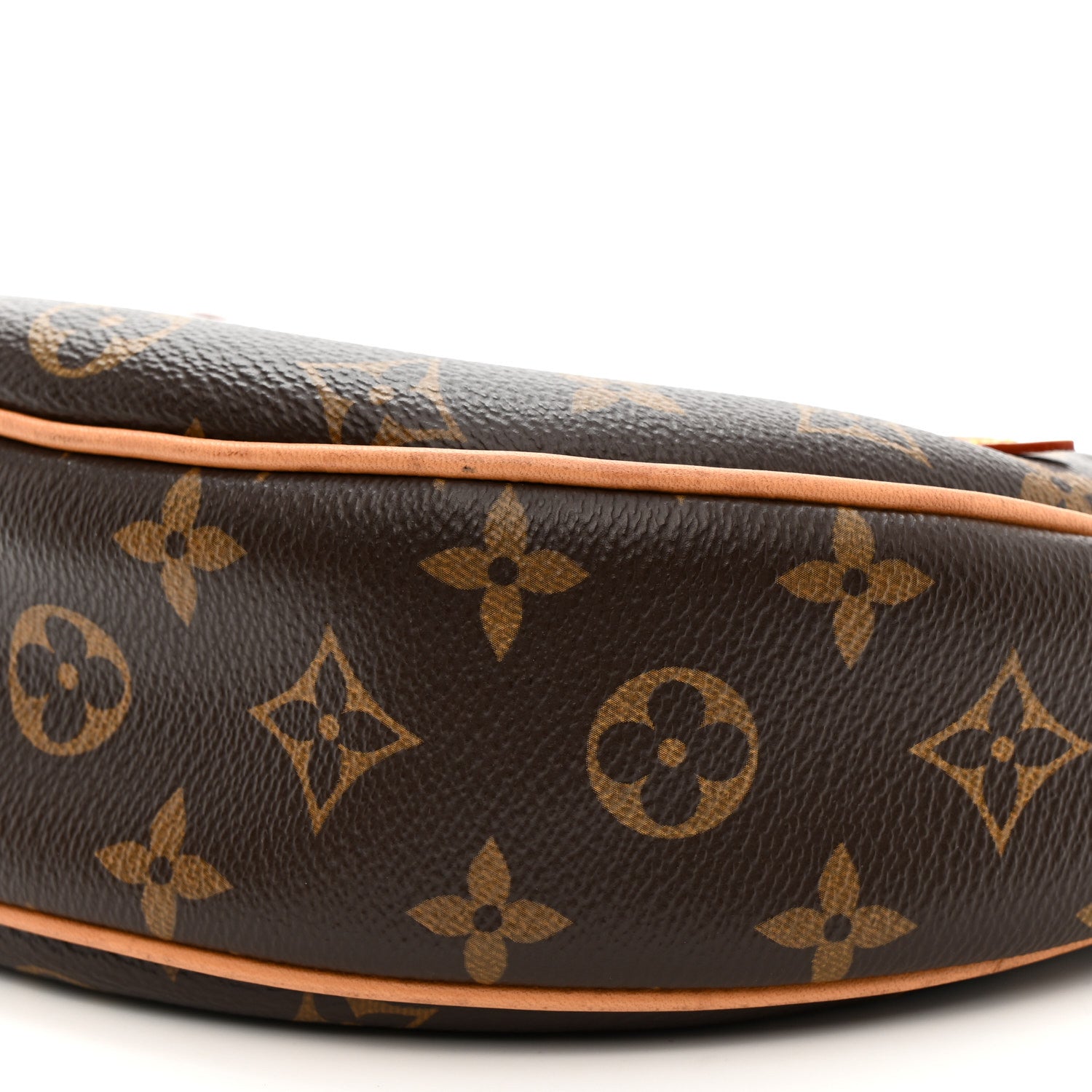 Louis Vuitton Monogram Loop