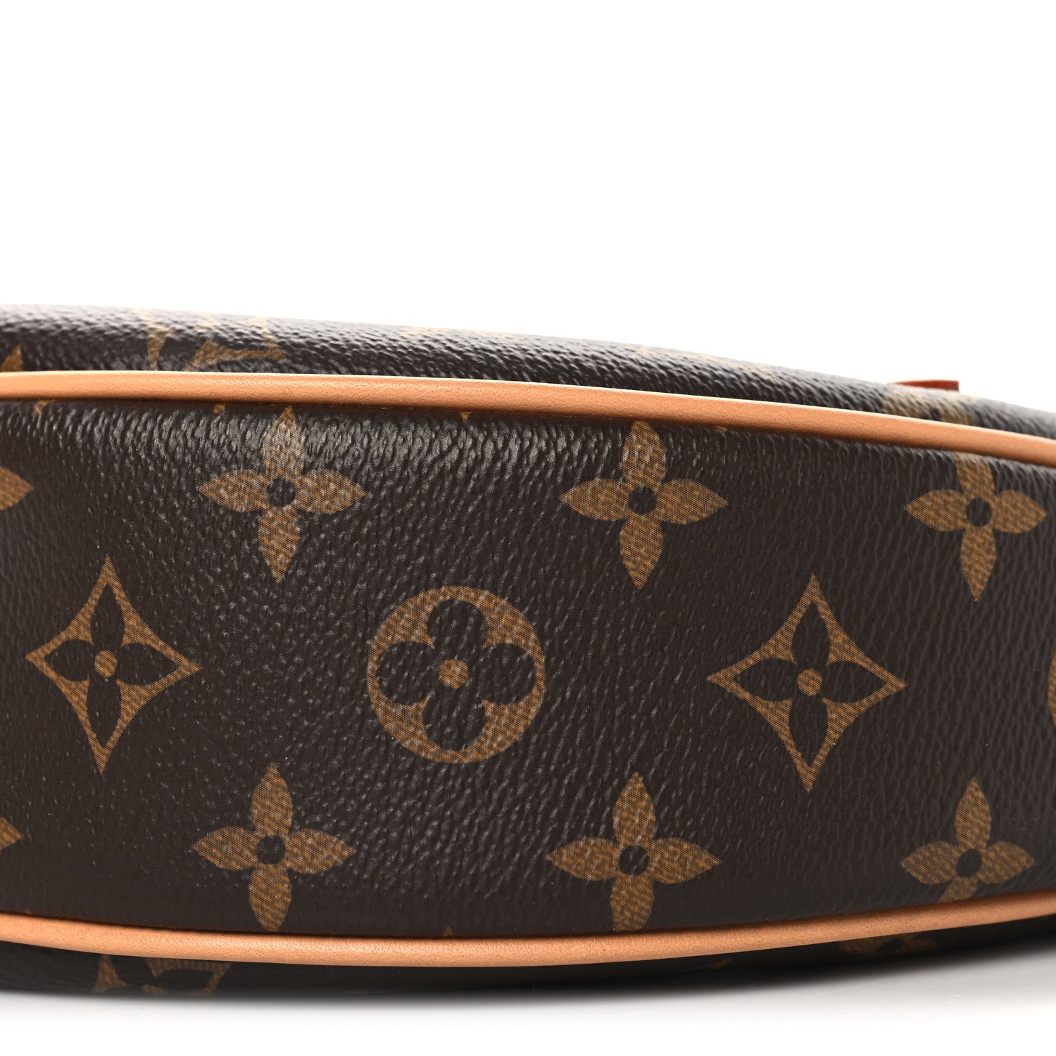 Louis Vuitton Monogram Loop