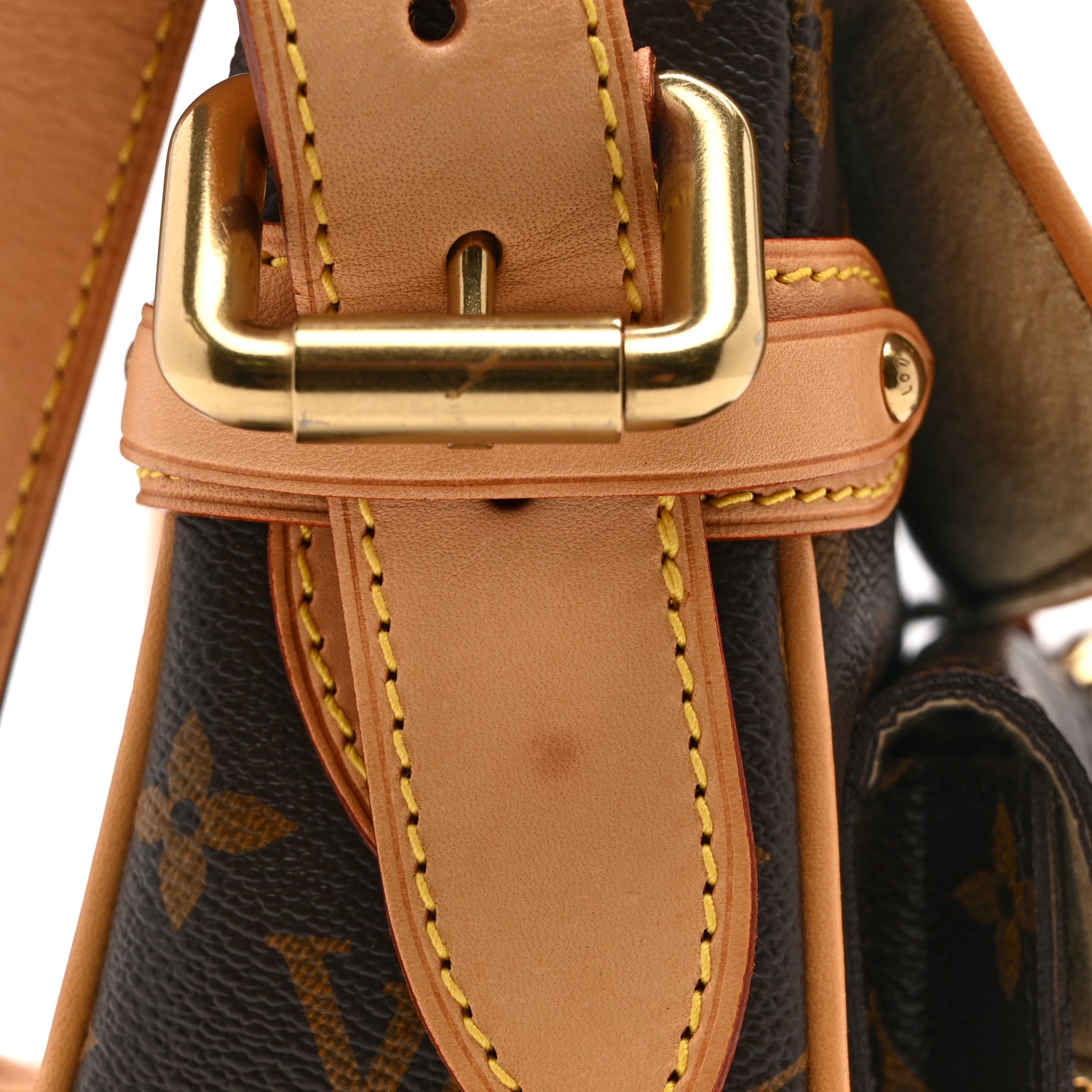 Louis Vuitton Monogram Hudson PM