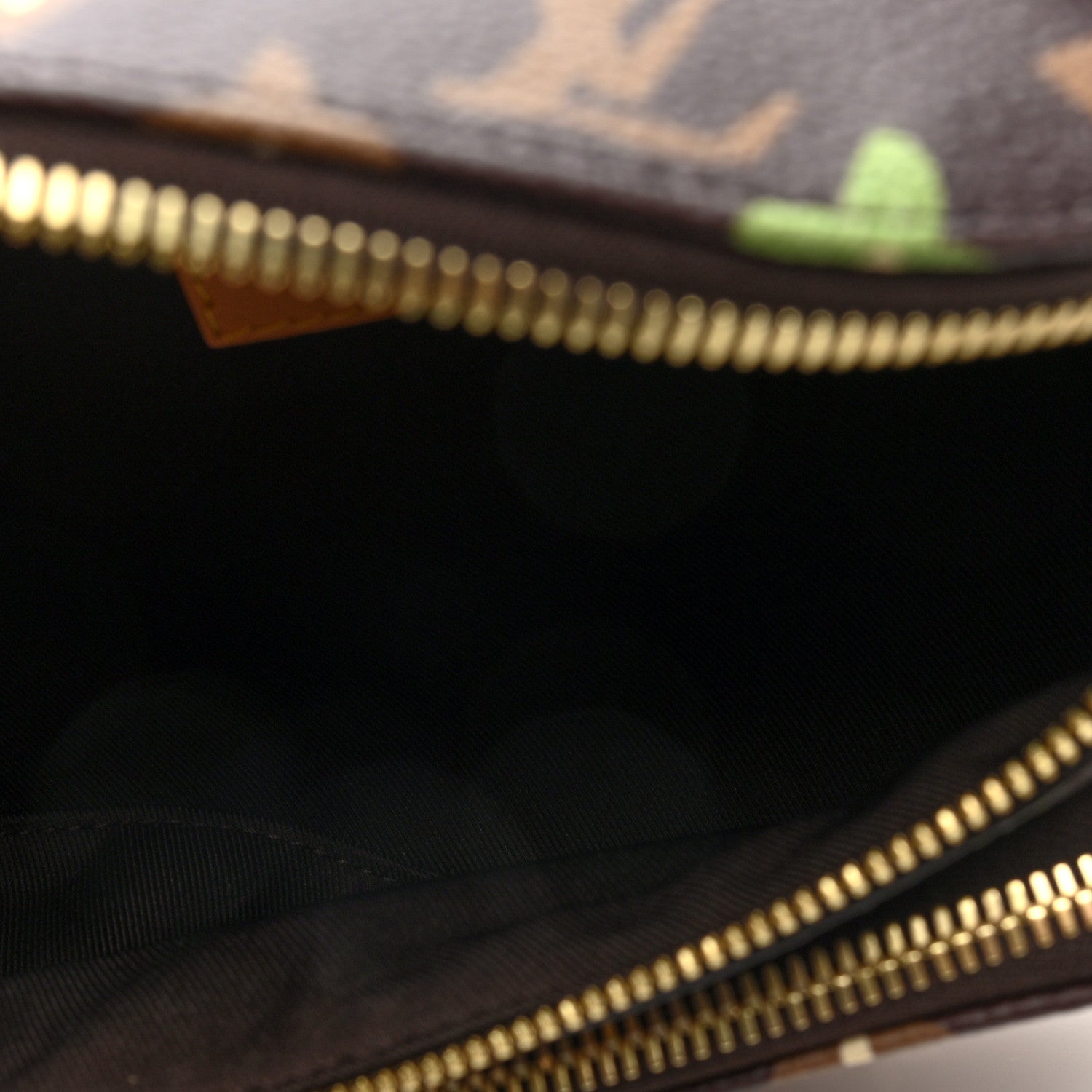 Louis Vuitton X TYLER THE CREATOR Monogram Craggy Rush Bumbag