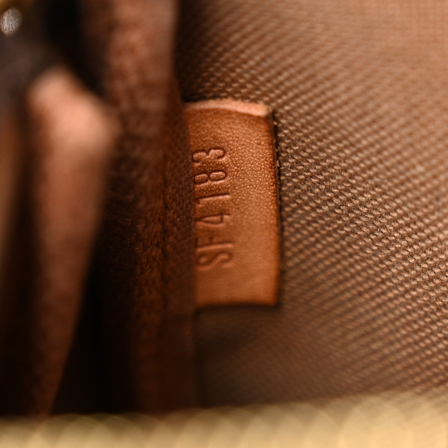 Louis Vuitton Monogram Mini Pochette Accessories