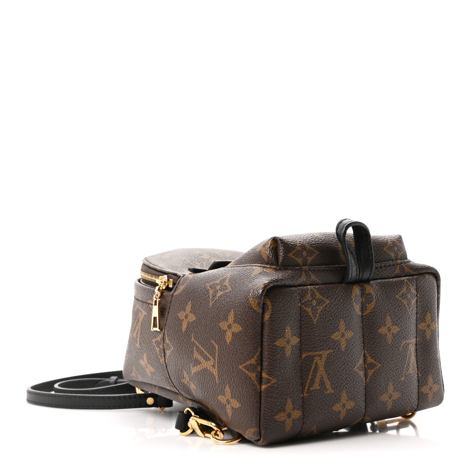 Louis Vuitton Monogram Palm Springs Backpack Mini