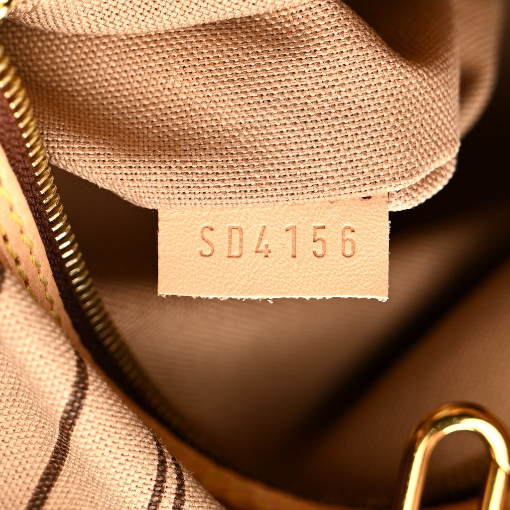 Louis Vuitton Monogram Delightful MM