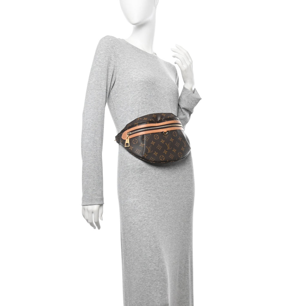 Louis Vuitton Monogram High Rise Bumbag