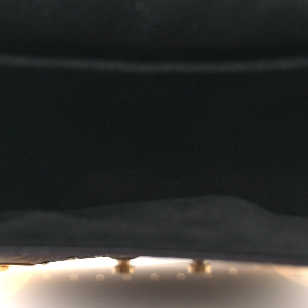 Louis Vuitton Reverse Monogram Camera Box NM