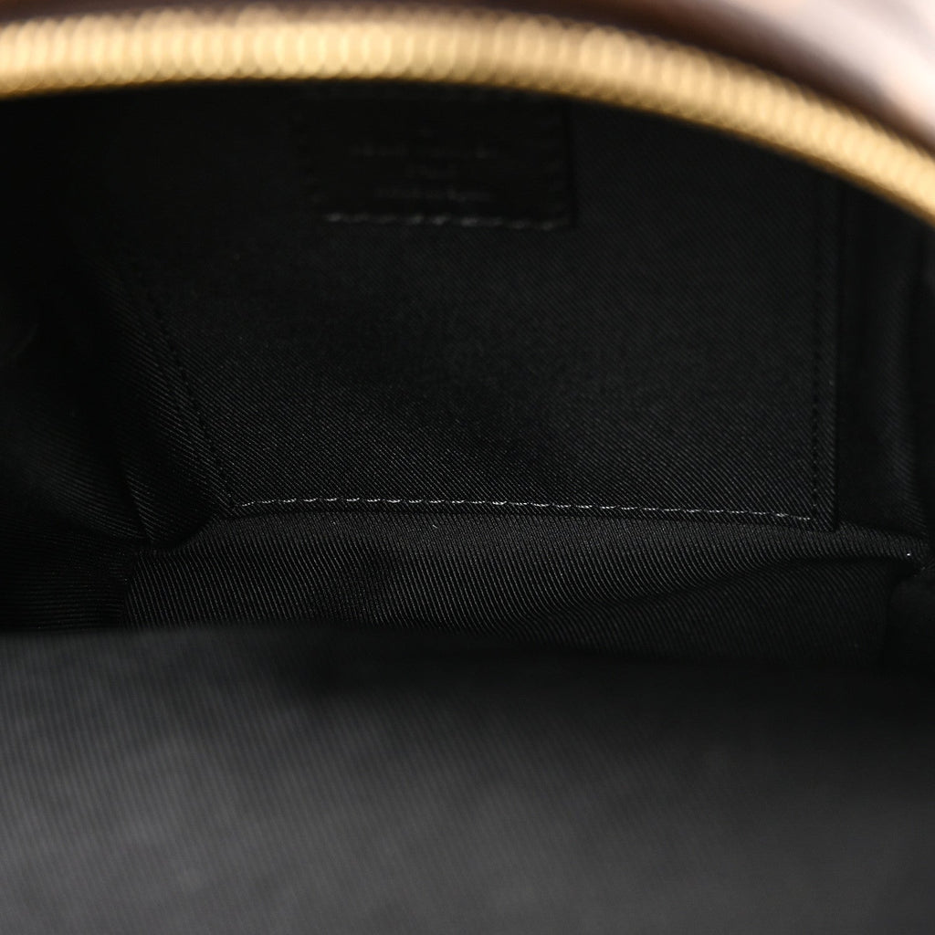 Louis Vuitton Monogram Palm Springs Backpack Mini