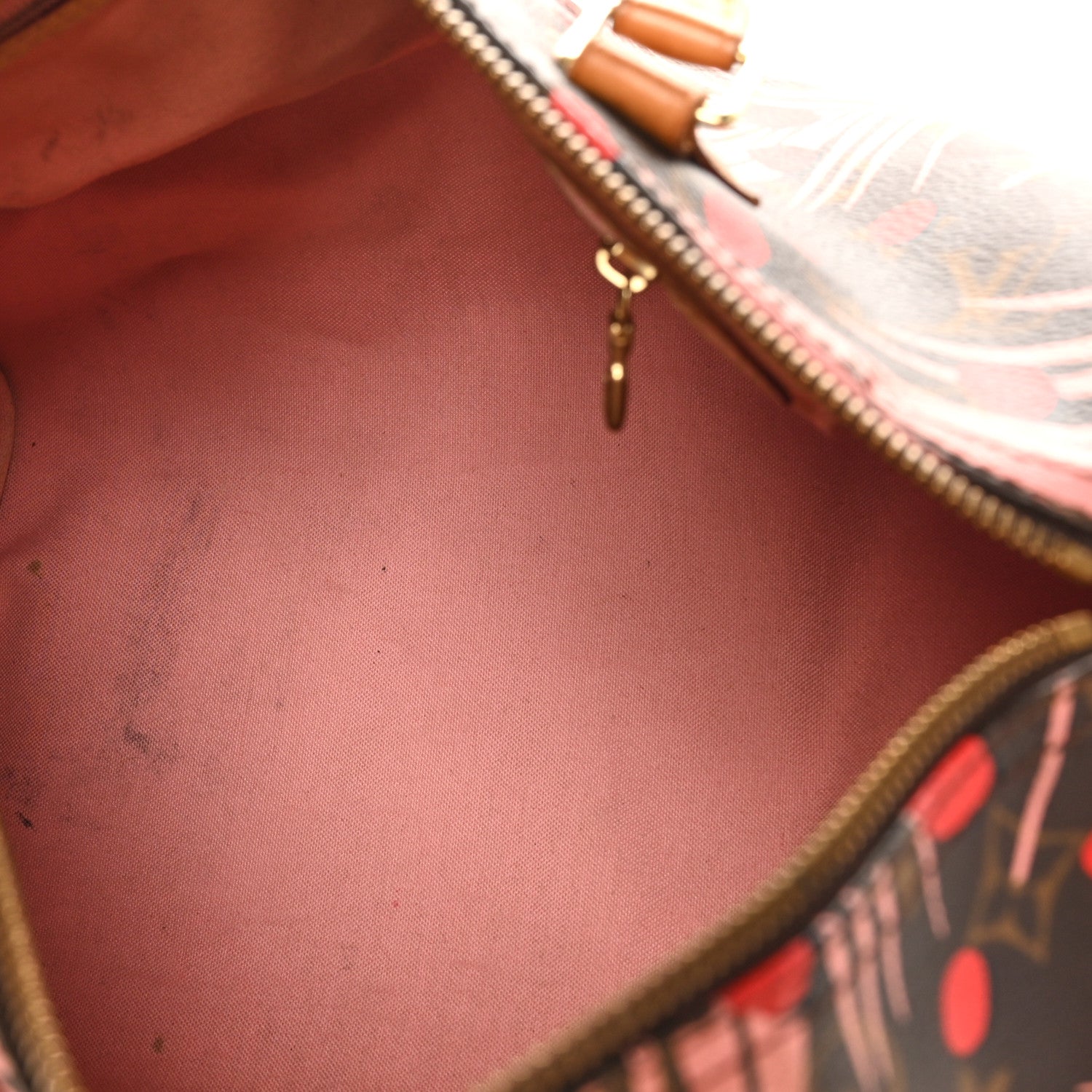Louis Vuitton Monogram Jungle Dots Speedy 30 Sugar Pink Poppy