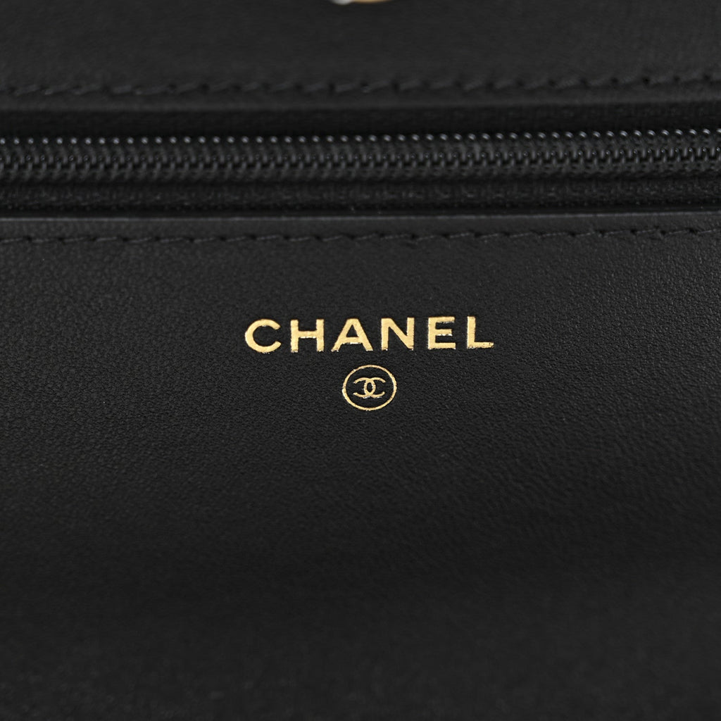 Chanel Lambskin Quilted Chanel 19 Wallet On Chain WOC Black