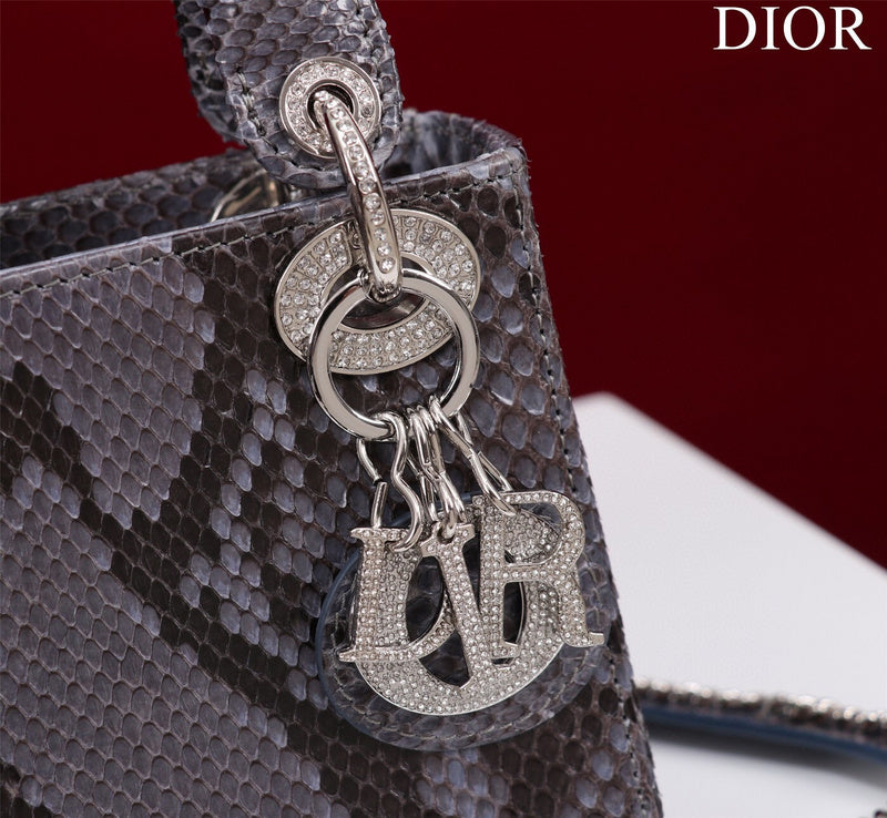 Dior Bag