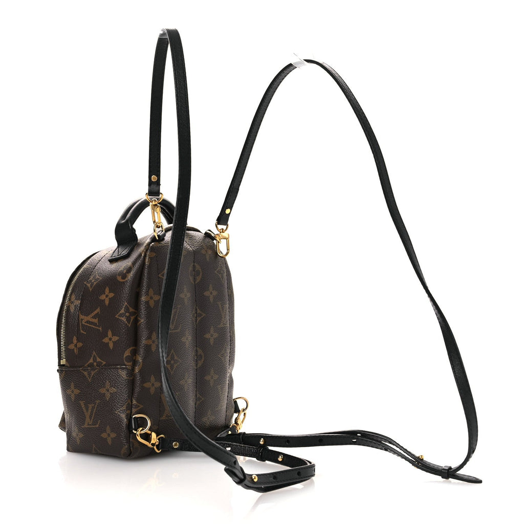 Louis Vuitton Monogram Palm Springs Backpack Mini