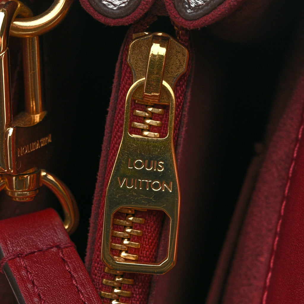 Louis Vuitton Monogram Venus Raisin