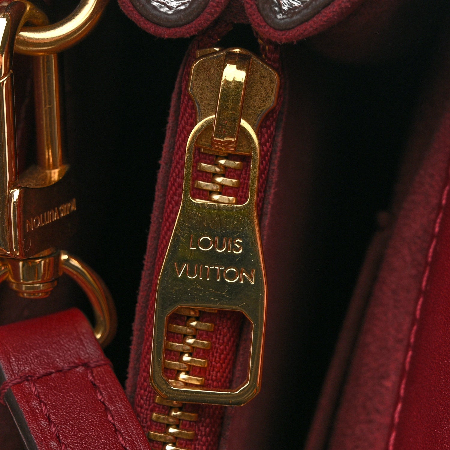 Louis Vuitton Monogram Venus Raisin