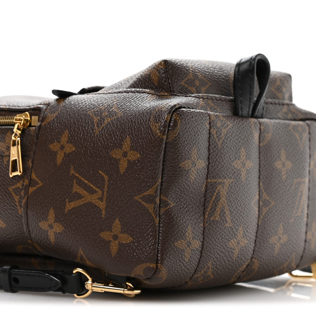 Louis Vuitton Monogram Palm Springs Backpack Mini