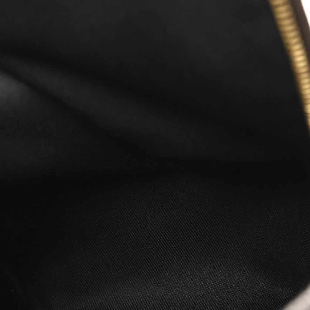 Louis Vuitton Monogram Palm Springs Backpack Mini