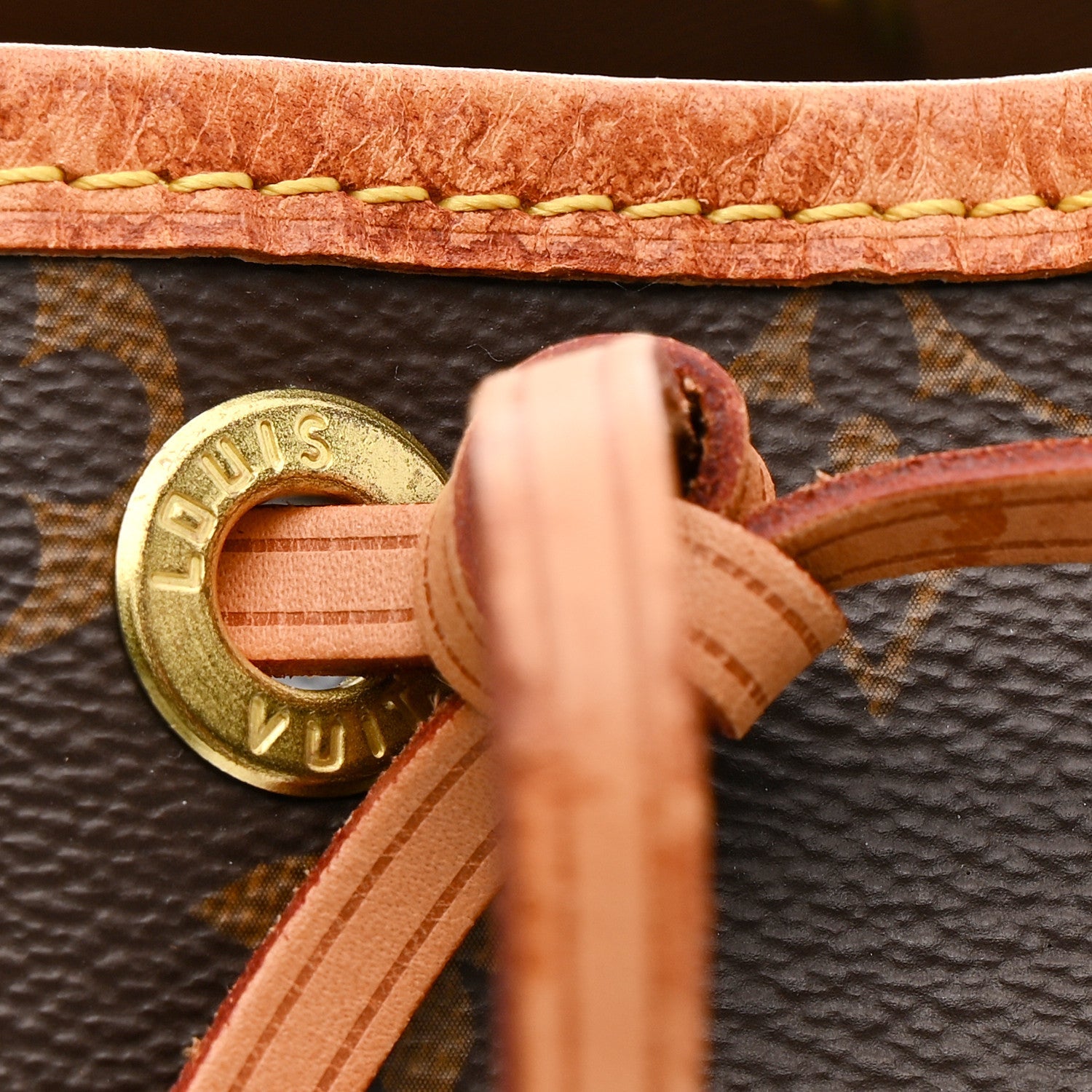 Louis Vuitton Monogram Petit Noe NM