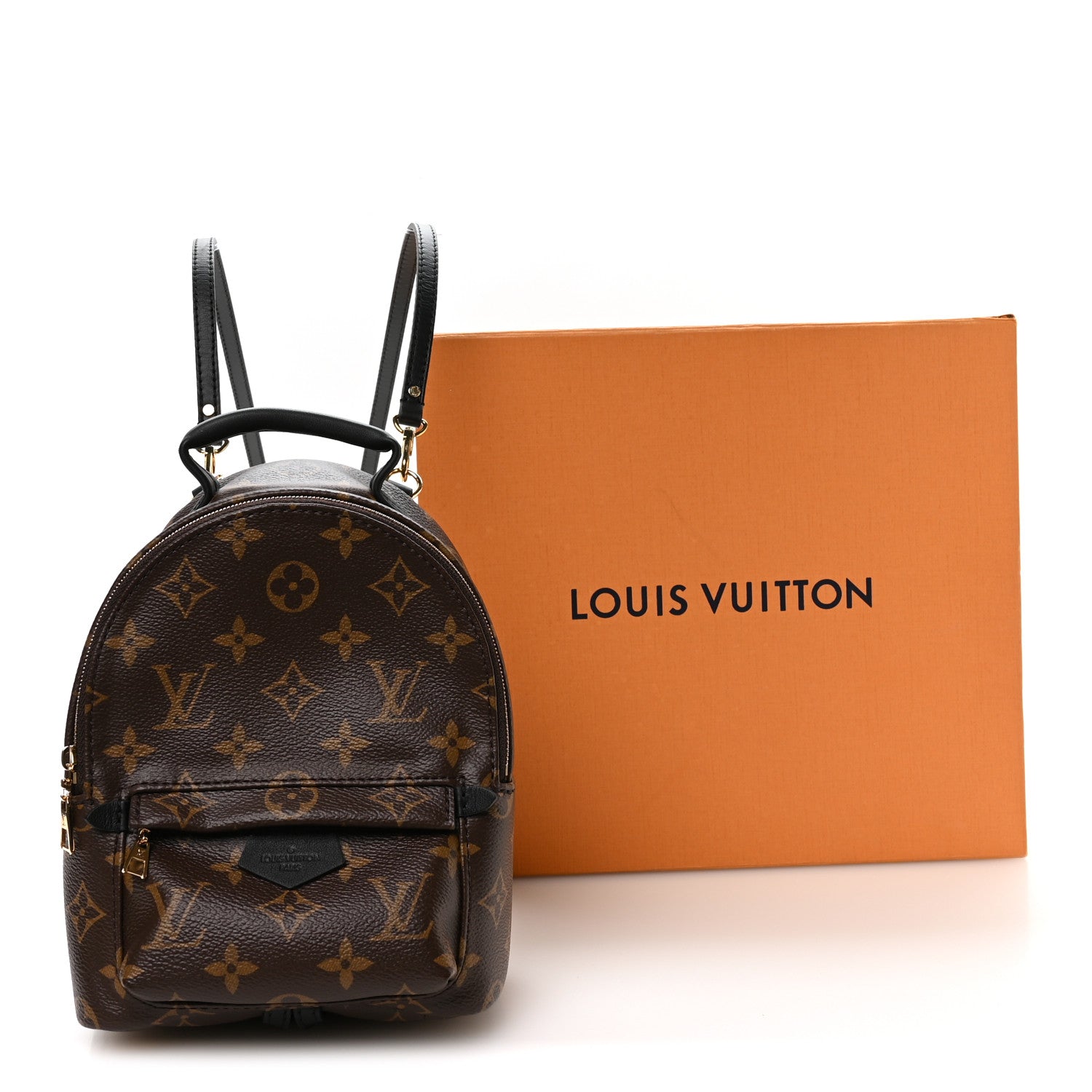 Louis Vuitton Monogram Palm Springs Backpack Mini