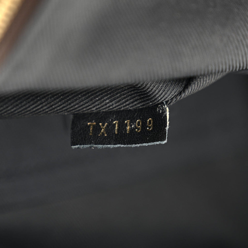 Louis Vuitton Monogram Palm Springs Backpack Mini