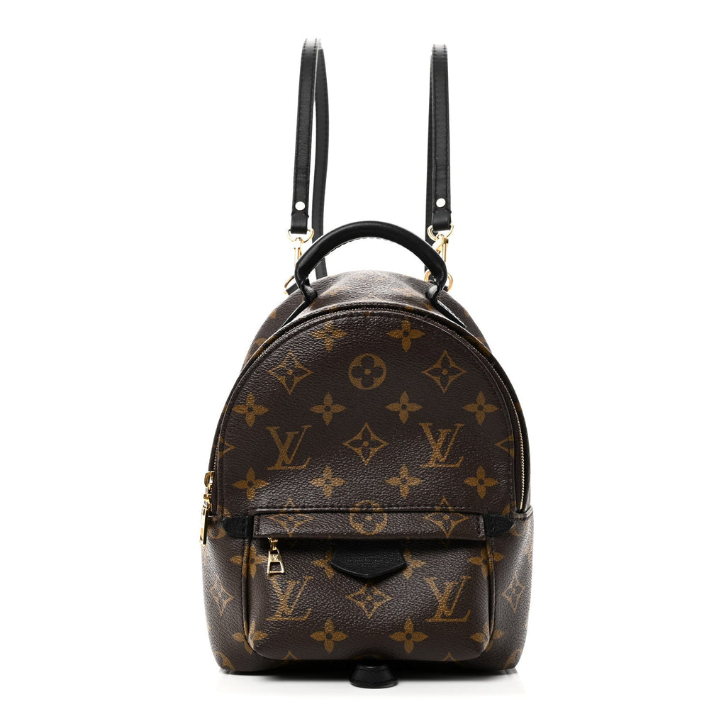 Louis Vuitton Monogram Palm Springs Backpack Mini