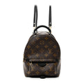 Louis Vuitton Monogram Palm Springs Backpack Mini