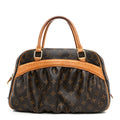 Louis Vuitton Monogram Mizi