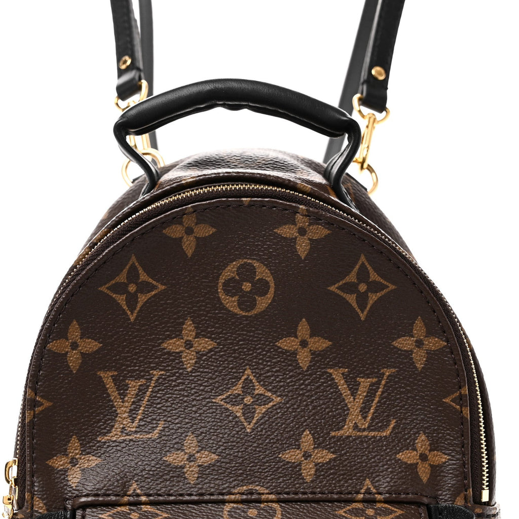Louis Vuitton Monogram Palm Springs Backpack Mini