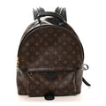 Louis Vuitton Monogram Palm Springs Backpack MM