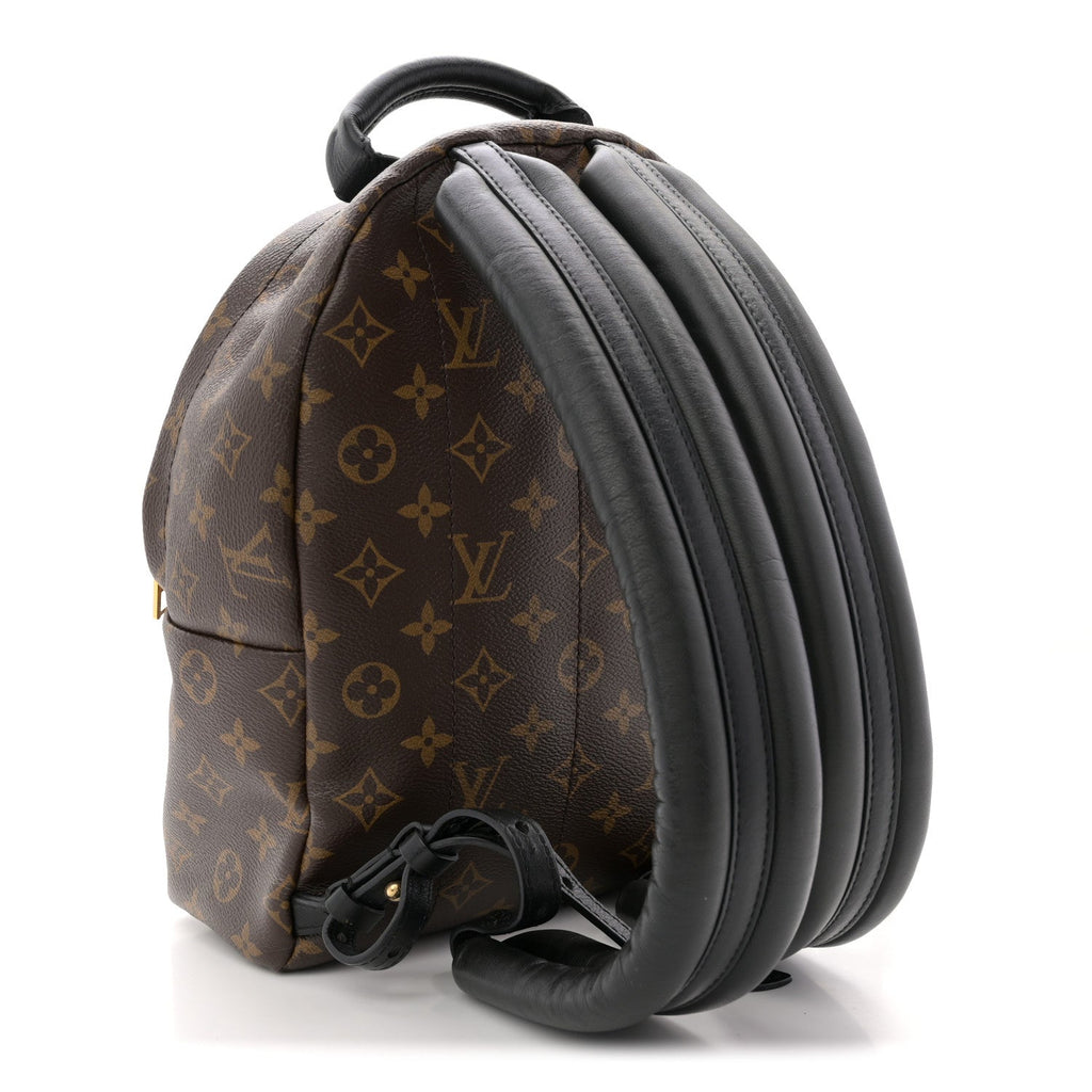 Louis Vuitton Monogram Palm Springs Backpack PM