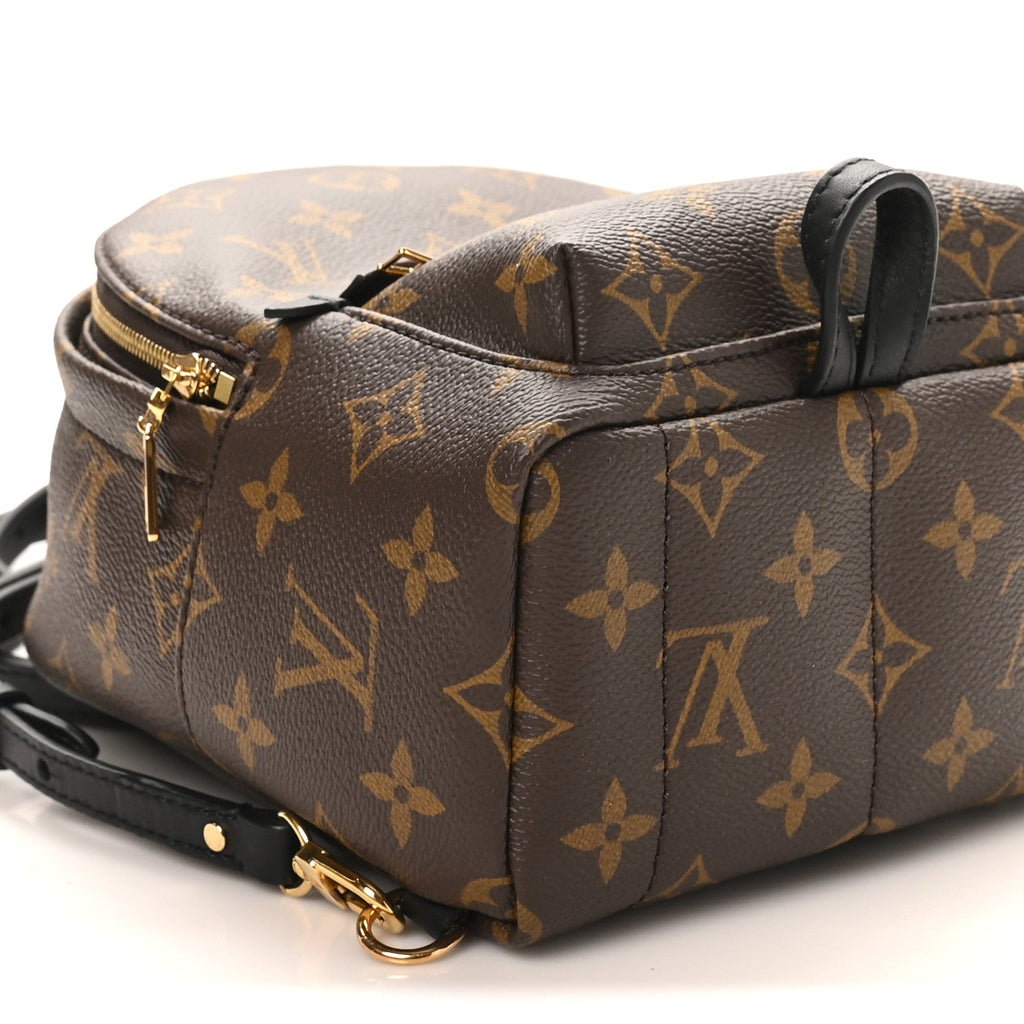 Louis Vuitton Monogram Palm Springs Backpack Mini