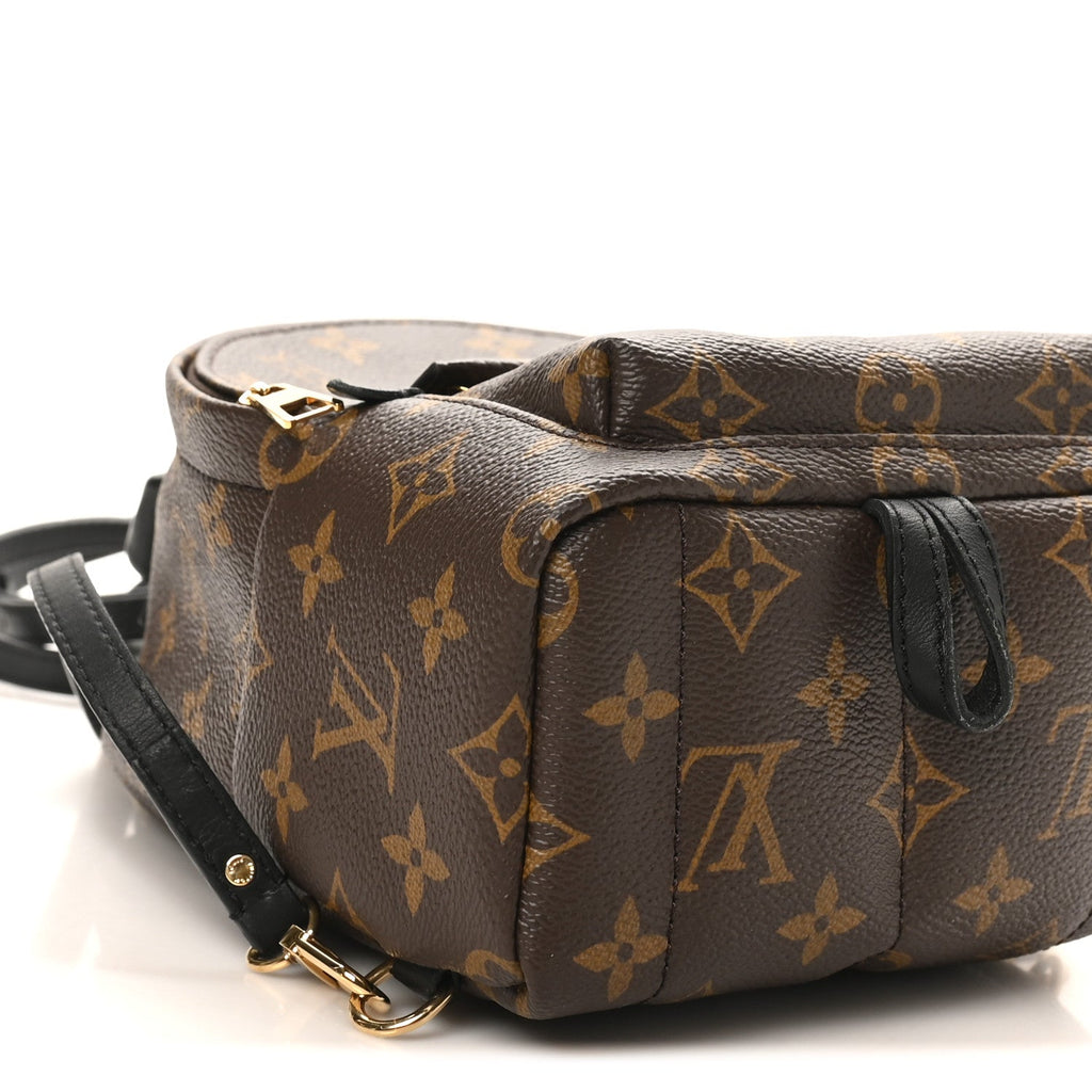 Louis Vuitton Monogram Palm Springs Backpack Mini