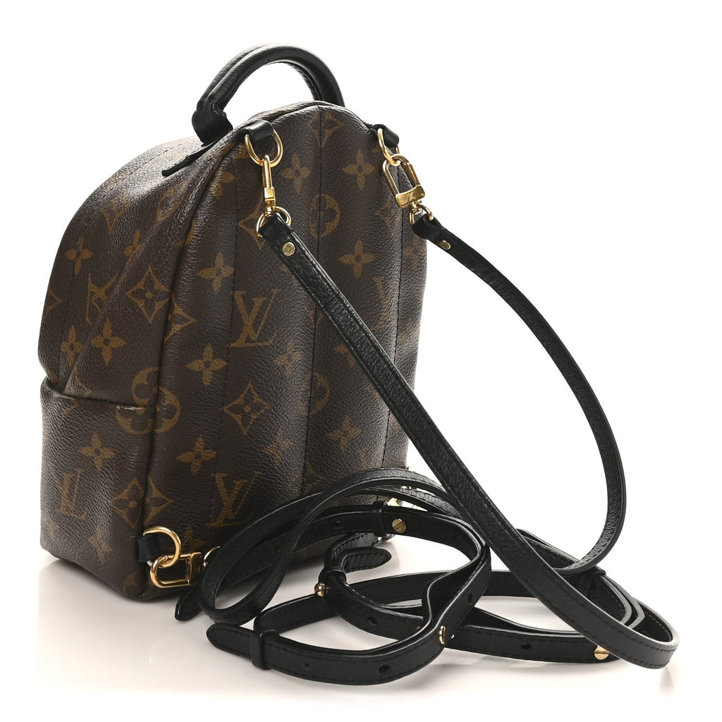 Louis Vuitton Monogram Palm Springs Backpack Mini