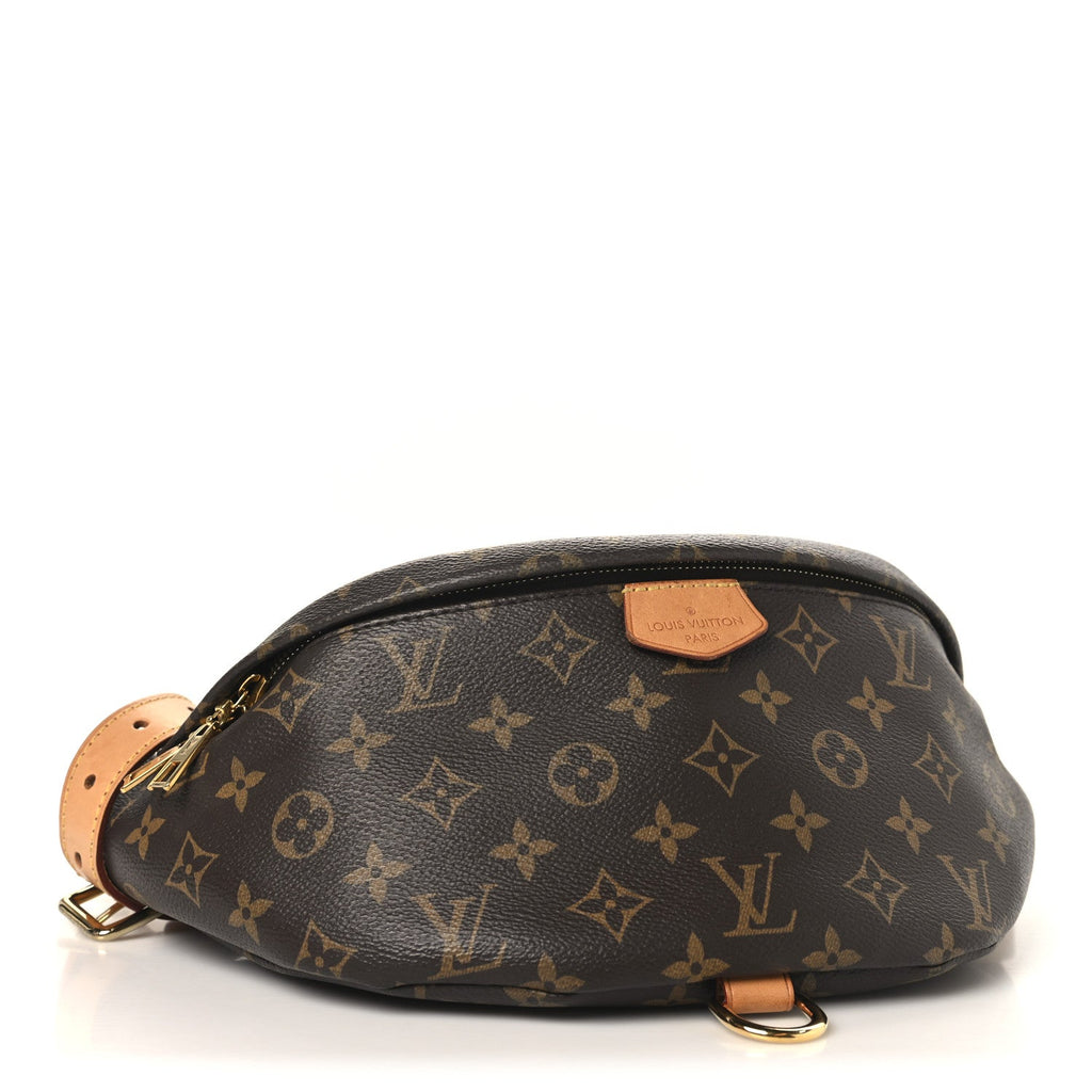 Louis Vuitton Monogram Bumbag