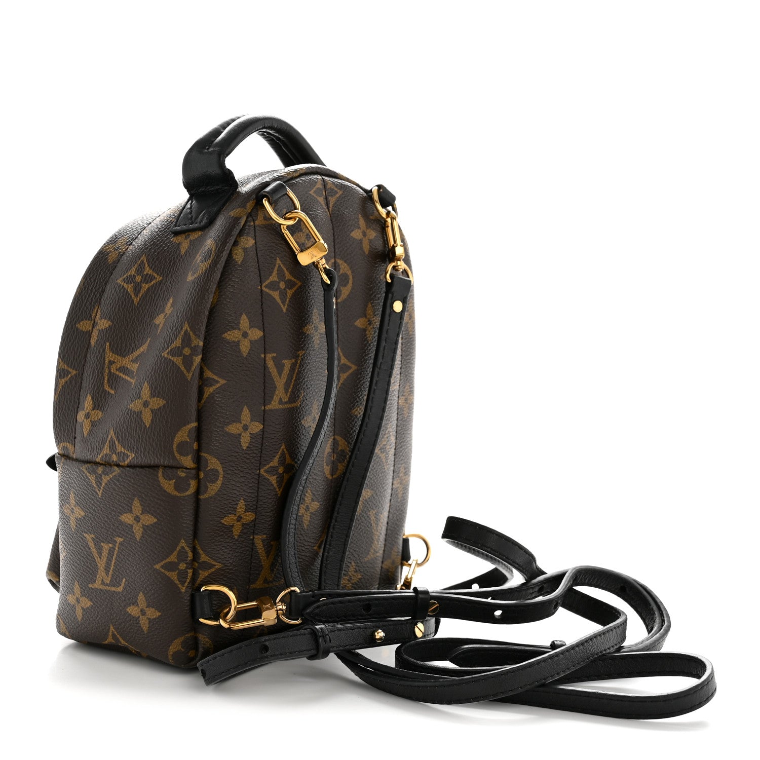 Louis Vuitton Monogram Palm Springs Backpack Mini